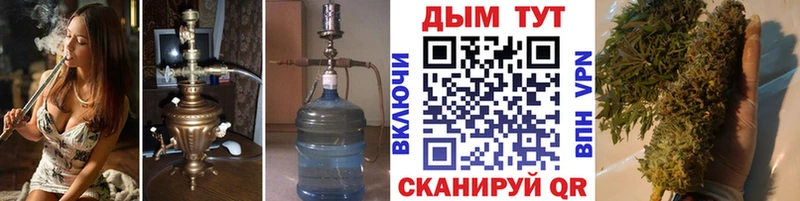 ГАШ Андреаполь