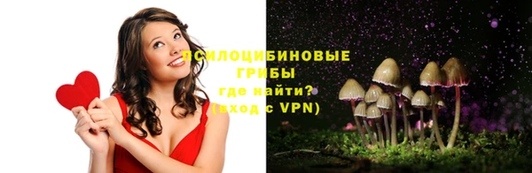 спайс Алзамай