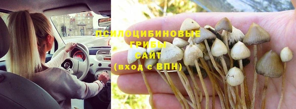 спайс Алзамай