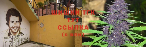 спайс Алзамай