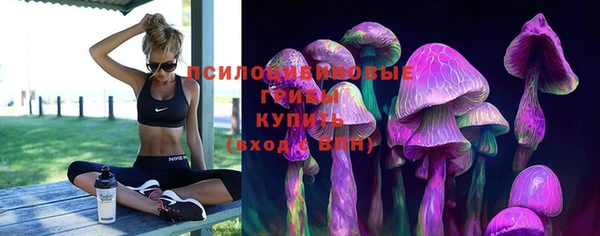 каннабис Алексеевка