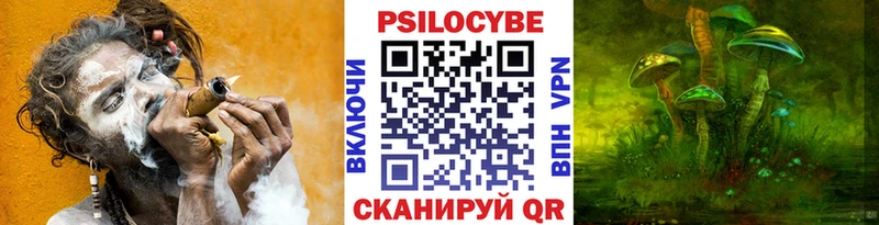 даркнет формула  Андреаполь  Галлюциногенные грибы Psilocybe 